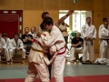 Donaupokal Bad Pirawarth 2017