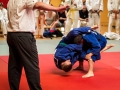 Donaupokal Bad Pirawarth 2017