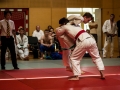 Donaupokal Bad Pirawarth 2017