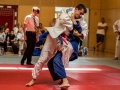 Donaupokal Bad Pirawarth 2017