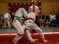 Donaupokal Bad Pirawarth 2017